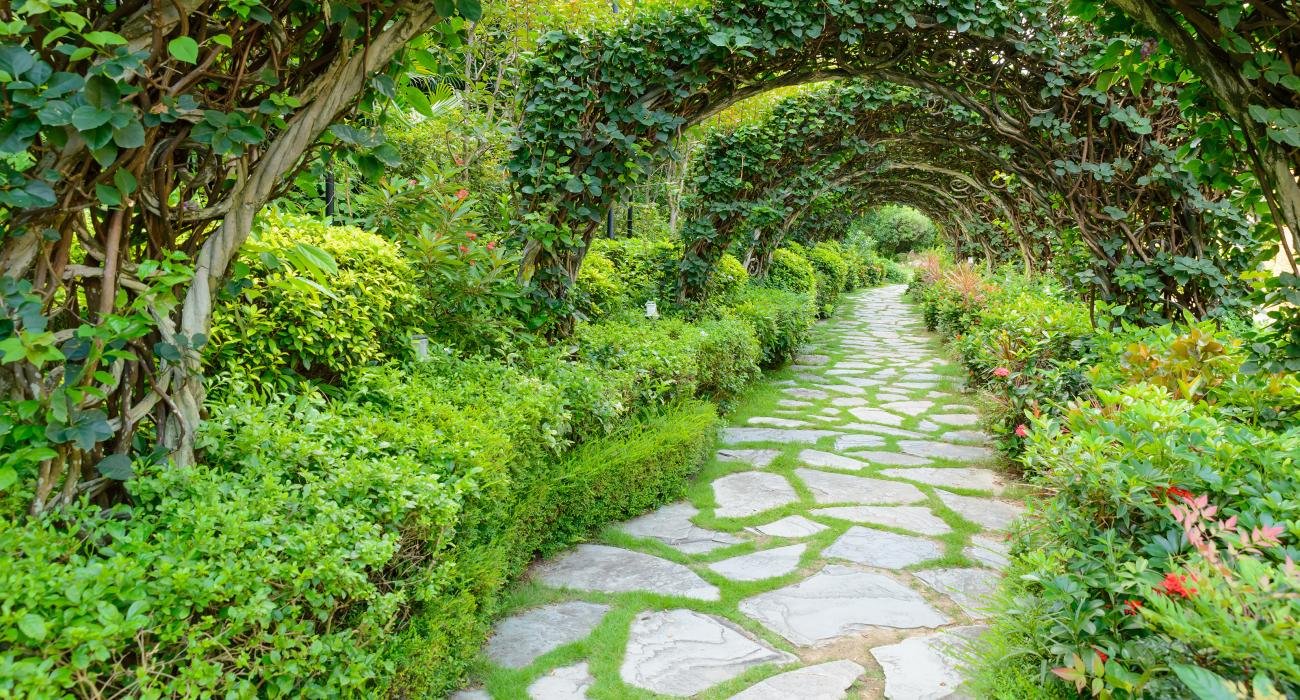 how to sneak a peek at charleston's secret gardens